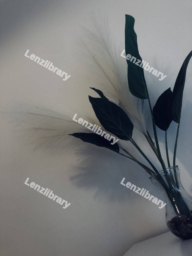 Decorative Dark Plant